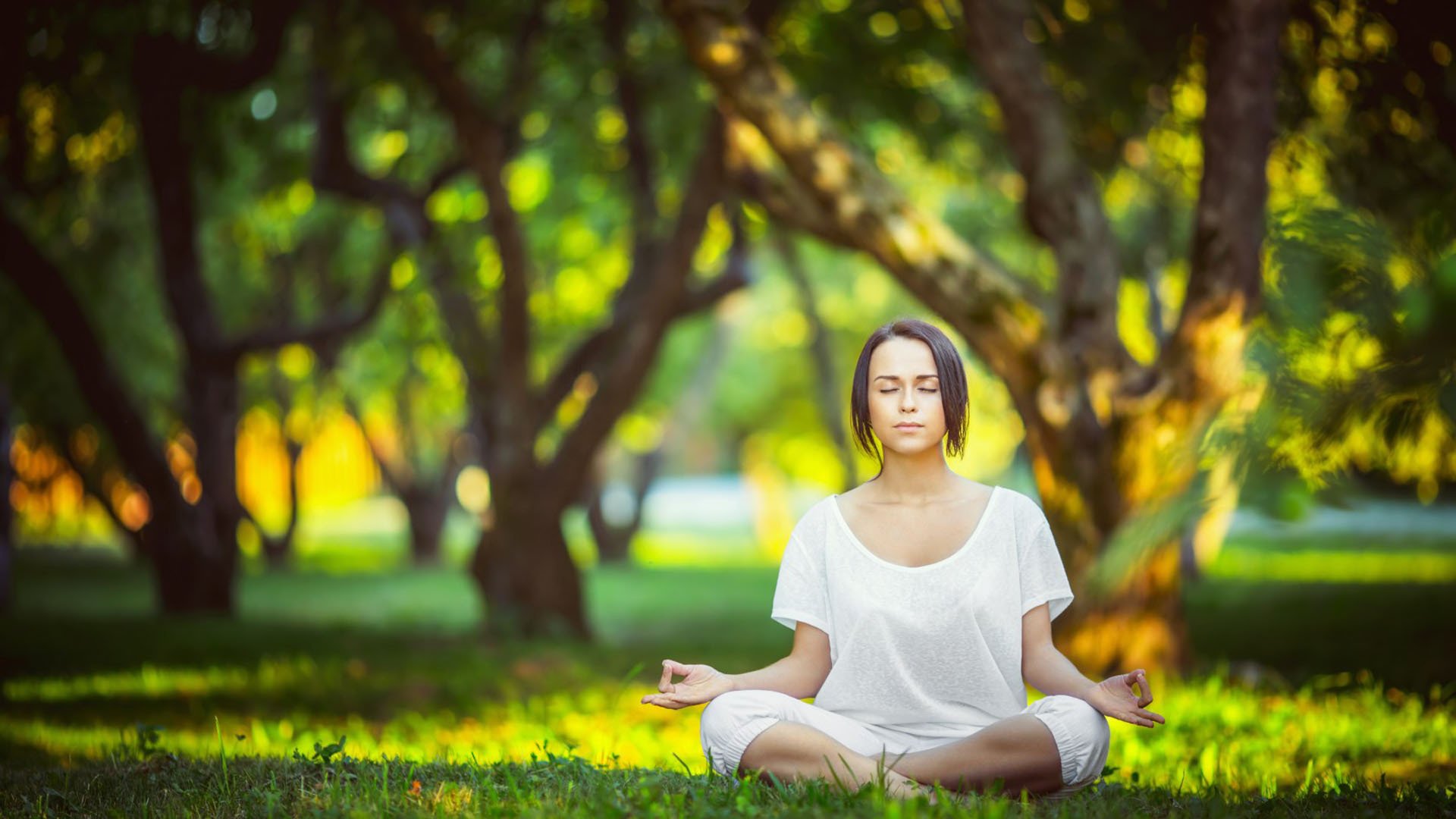 _名师讲座：运动训练中的科学方法_，运动训练的科学化