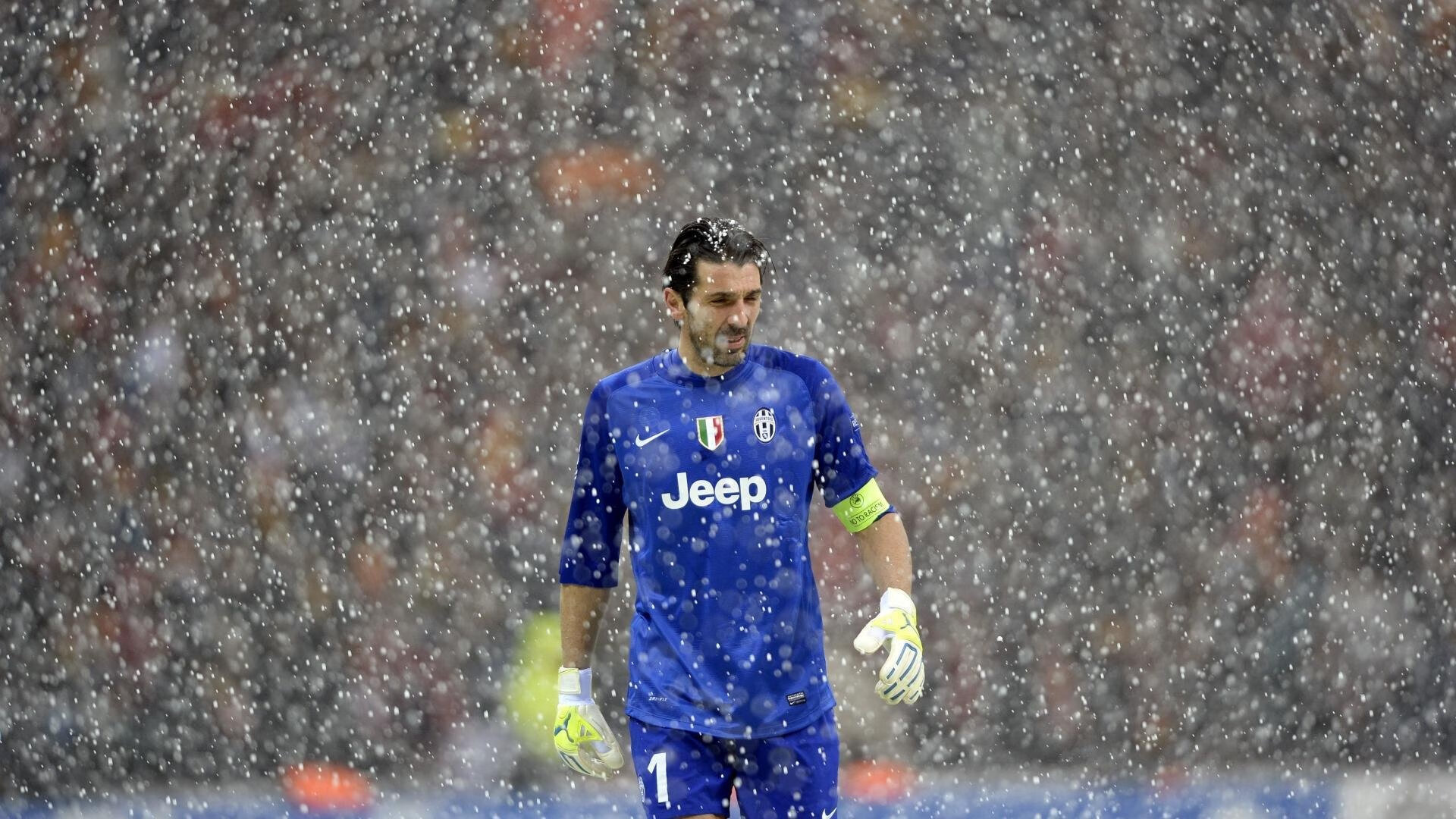 冠军虽少,但稳定优异的表现带来持续关注,冠军意味着什么