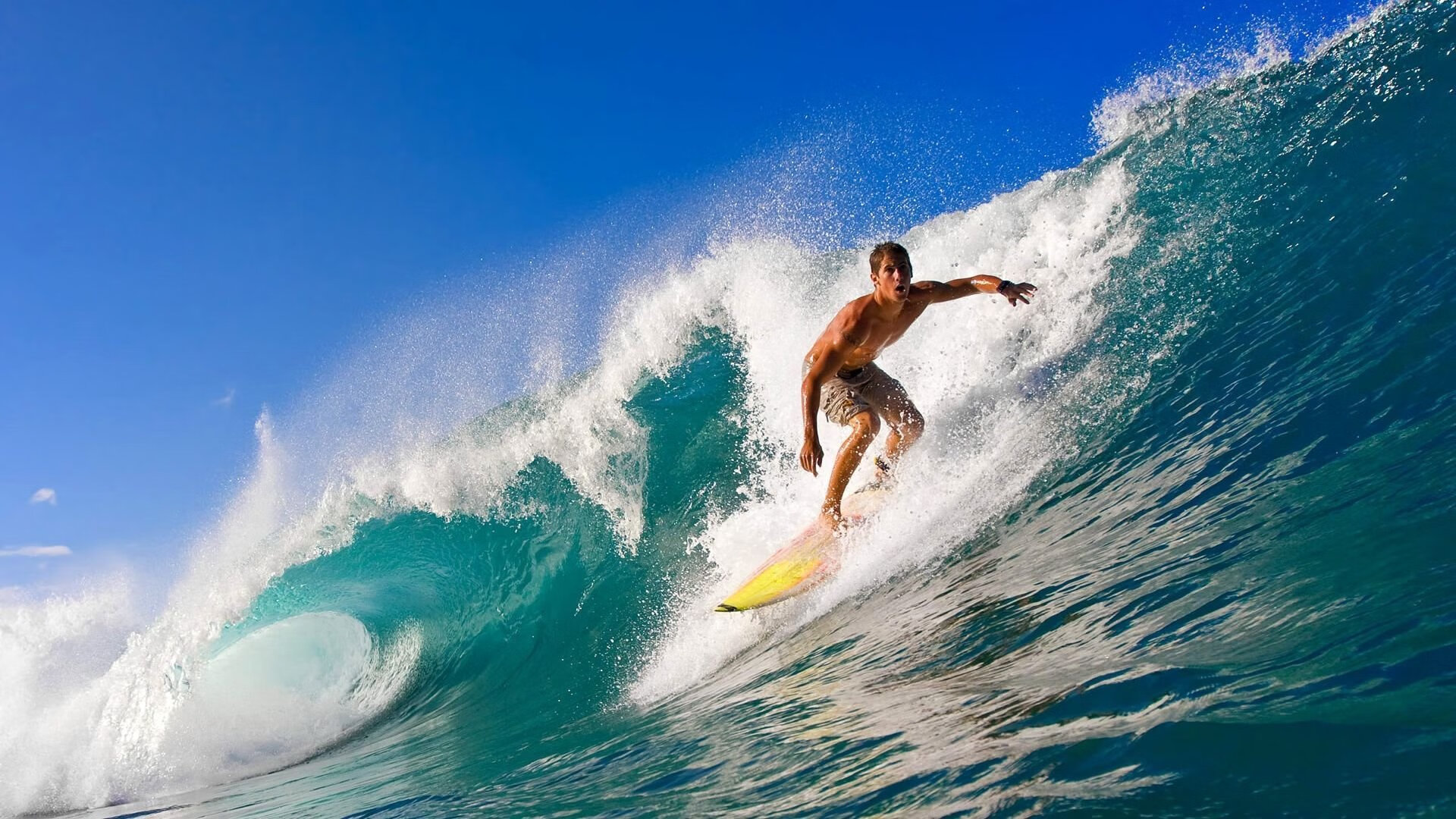开云体育安全平台-_运动员的幕后训练：揭秘职业高水平细节_，职业运动员怎么训练